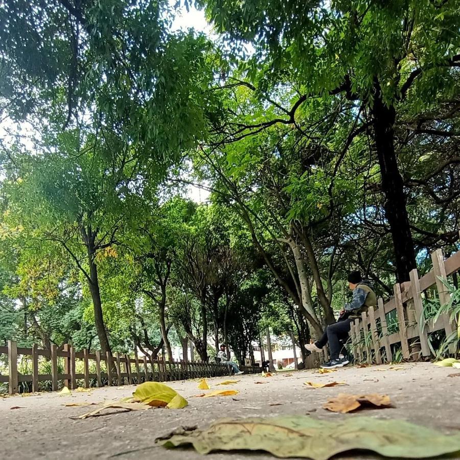 Hostal La Pachamama سالتا المظهر الخارجي الصورة